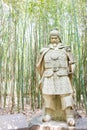 Jiang Wei Statue at Zhaohua Ancient Town. a famous historic site in Guangyuan, Sichuan, China. Royalty Free Stock Photo