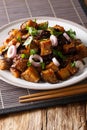 Sichuan eggplants in a spicy sauce decorated with onions and cilantro closeup on a plate. vertical