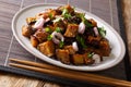 Sichuan Style Braised Eggplant With ginger, garlic, pepper and s