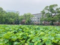 Sichuan University Royalty Free Stock Photo