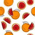 Sicilian blood oranges vector seamless pattern on white background. Red oranges Royalty Free Stock Photo