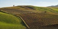 Sicilian hill Royalty Free Stock Photo