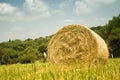 Sicilian Landscape Royalty Free Stock Photo