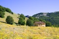 Sicilian landscape