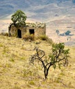 Sicilian landscape with old house, pasture with thistles, Sicily, Italy, Europe Royalty Free Stock Photo