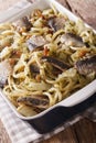 Sicilian pasta bucatini with sardines, fennel, raisins and pine Royalty Free Stock Photo