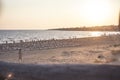 Sicilian resort beach at sunset #5 Royalty Free Stock Photo