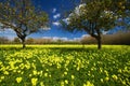 Sicilian spring