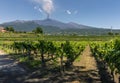 Sicilian vineyards with eruption of the volcano Etna on Sicilian background, Italy. Sicilian rural landscape Royalty Free Stock Photo