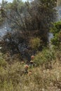 Firefighters on work on forest fireblaze Royalty Free Stock Photo