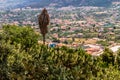 Sicily Landscape