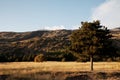 Sicily: Mount Etna Volcano