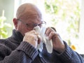 Sick bald senior man blowing his nose with tissue. having flu, corona virus. against green plants, in a sunny room