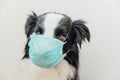 Sick or contagious dog border collie wearing protective surgical medical mask isolated on white background. Funny puppy with mask