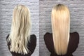 Keratin recovery hair and protein treatment pile with professional