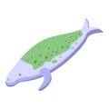 Sick dugong icon isometric vector. Sea mammal