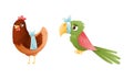 Sick Hen and Parrot Animal with Bandage on Wing and Beak Vector Set