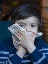 Sick kid blowing nose into tissue, Unhealthy child suffering from running nose or sneezing and covering his nose and mouth, A boy Royalty Free Stock Photo