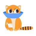 Sick Kitten Wearing Pet Cone Collar Sitting with Splinting Paw, Cute Pet Baby Animal Cartoon Vector Illustration