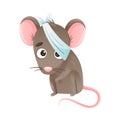 Sick mouse animal. Sad baby animal with bandage on its head suffering from headache cartoon vector illustration