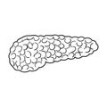 A sick pancreas.The infected part of the body with diabetes.Diabetes single icon in outline style vector symbol stock