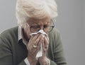 Sick senior lady blowing nose