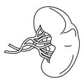 Sick spleen icon, outline style