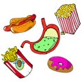 Fast food set. Sick stomach and fast food. Vector illustration set of hotdog, french fries, kerchup