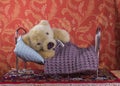 Sick teddy bear in a bed with thermometer