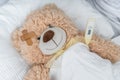 Sick Teddy bear with plaster and thermometer is lying in bed