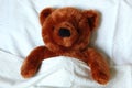 Sick teddy with injury in bed Royalty Free Stock Photo