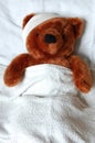 Sick teddy with injury in bed Royalty Free Stock Photo