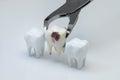 The sick tooth being pulled out, 3d rendering Royalty Free Stock Photo