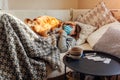 Sick woman having flu or cold. Girl lying in bed with cat wearing protective mask by pills and water on table Royalty Free Stock Photo