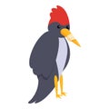 Sick woodpecker icon, cartoon style