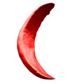 Sickle Red Blood Cell Royalty Free Stock Photo