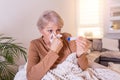 Sickness, seasonal virus problem concept. Senior woman being sick having flu lying on sofa looking at temperature on thermometer. Royalty Free Stock Photo