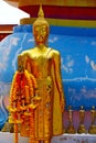 Siddharta in the temple bangkok asia blue flower