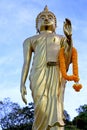 Siddharta in the temple bangkok asia orange flower