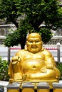 Siddharta in the temple bangkok asia plant