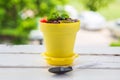 Side angle view a cookie crumbs in a yellow pot decorated with worm jelly, chocolate gravel and peppermint with toy shovel on