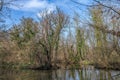 side arm of the Nidda river in Frankfurt, Hesse, Germany Royalty Free Stock Photo