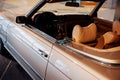 Side and back, close up view of beige retro cabriolet car leather interior and hood: steering wheel, dashboard, rear Royalty Free Stock Photo