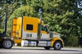 Side of big rig yellow semi truck with semi trailer running on the flat road with green trees on the shoulder Royalty Free Stock Photo