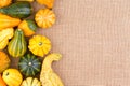 Side border of ornamental autumn gourds Royalty Free Stock Photo