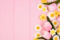 Side border of springtime flower decorations over a pastel pink wood background Royalty Free Stock Photo