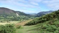 On side of Cat Bells, Newlands valley
