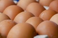 Side close up view of eggs on egg tray. Food concept. Royalty Free Stock Photo