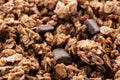 Side close view of a serving of chocolate chunk granola