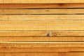 Side cut of sawn boards, stack of sawn boards